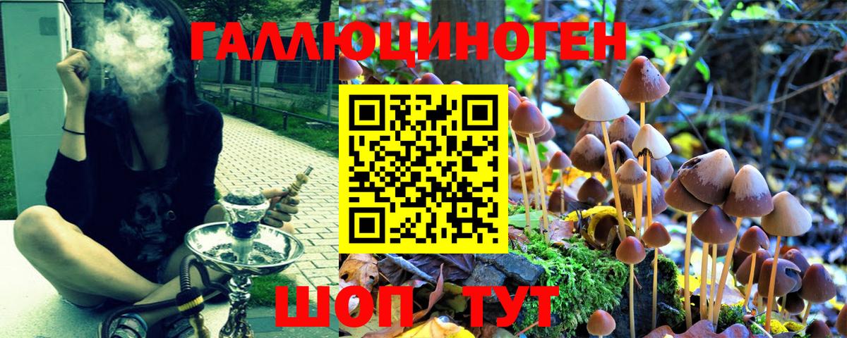 Псилоцибиновые грибы мухоморы  Вход с VPN  Галлюциногенные грибы ЛСД  Среднеуральск 